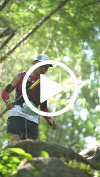 BIB:  <button type="button" onclick="openModal(27927182)" class="btn btn-primary btn-sm float-right" data-toggle="modal" data-target=".modal-high-quality">
                <i class="fa fa-download"></i> Download
                </button>